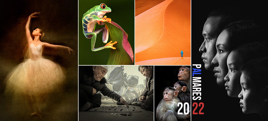 Le palmares 2022, salon par salon