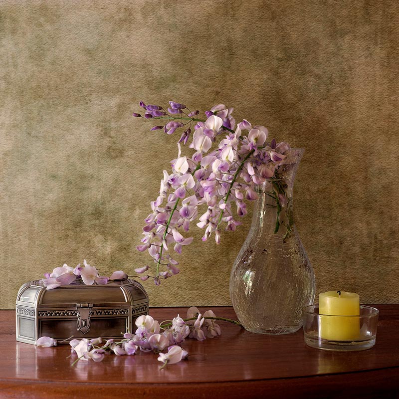 Last wisteria flowers