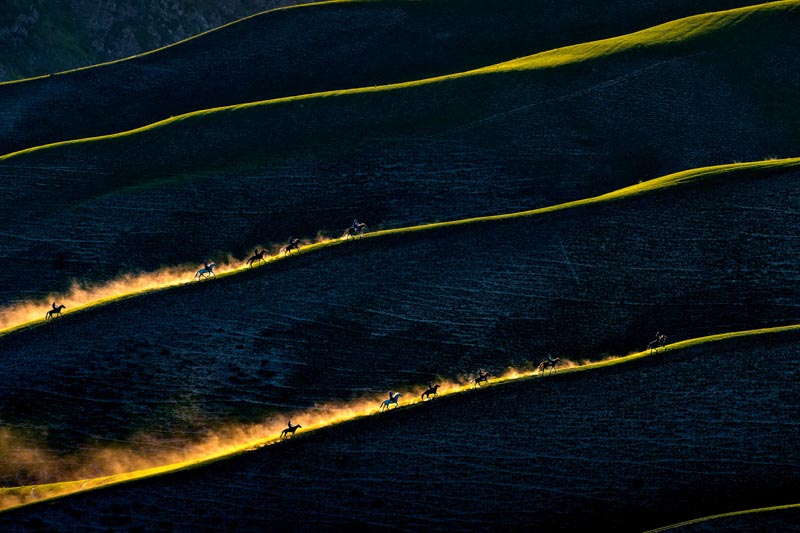 Horse race on the plateau