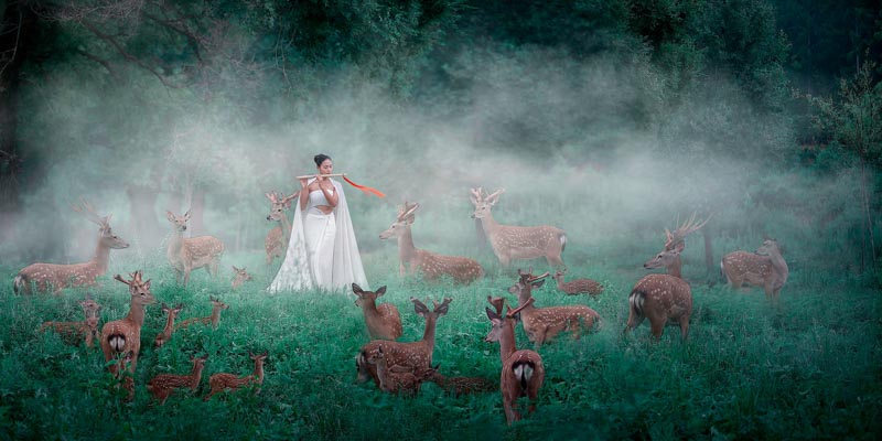 Music lingered in the air