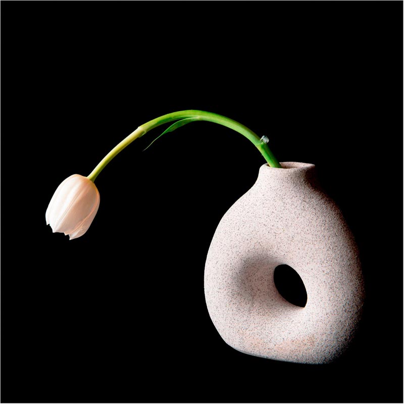 Vase blanc et tulipe