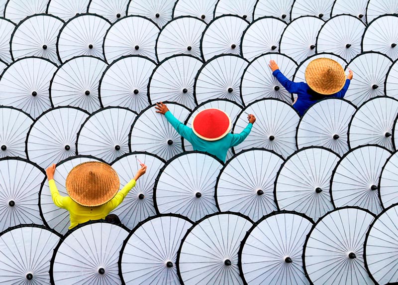 Among white umbrella 1007257