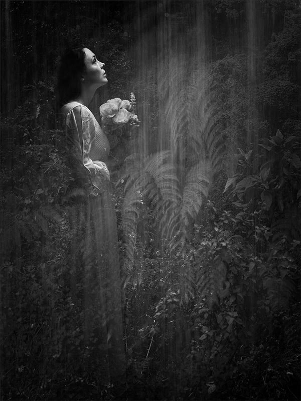 Bride of the rain forest