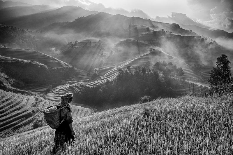 Morning on the terraces