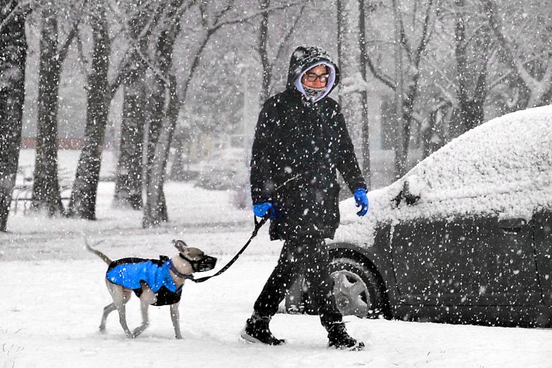 In a snowfall with dog