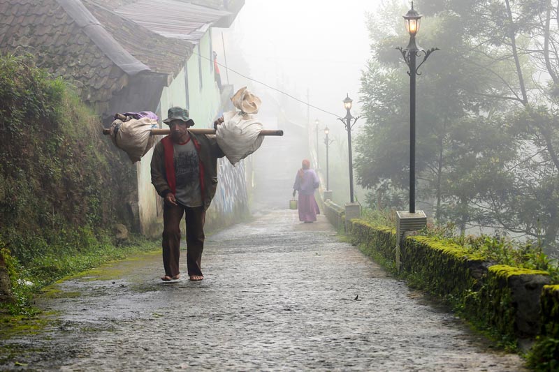 Walk in misty morning 1654