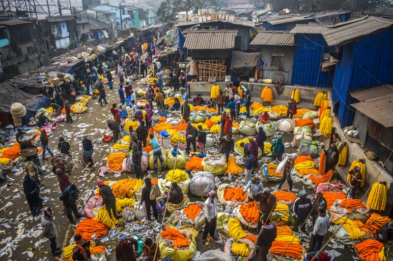 Busy day in flower market