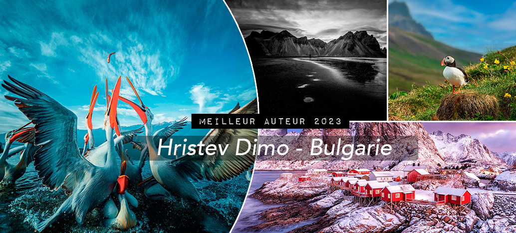 Vainqueur 2023 : Hristev Dimo