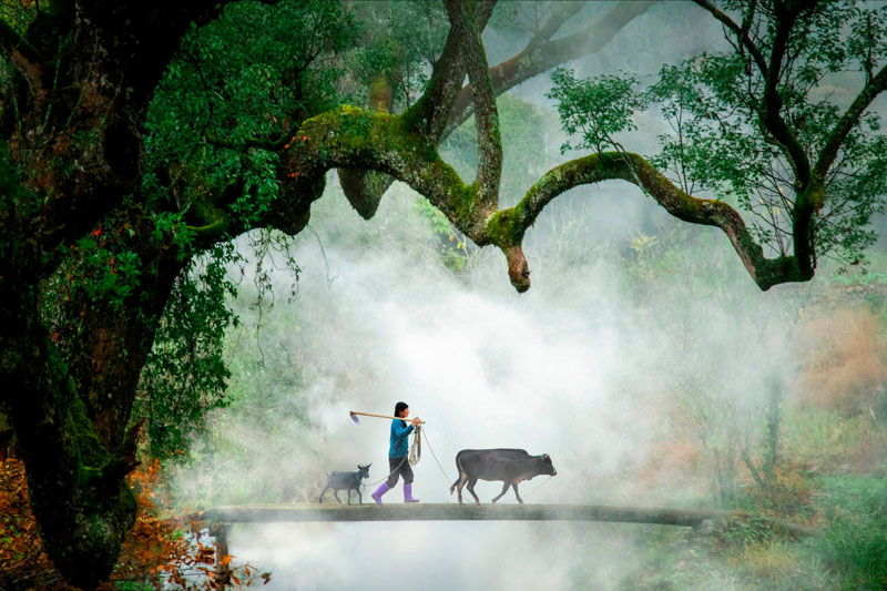 Mountain country road