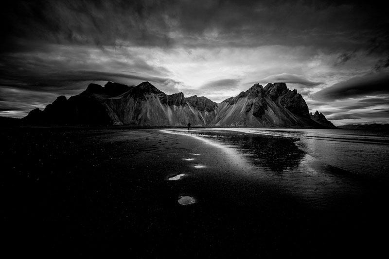 Black vestrahorn