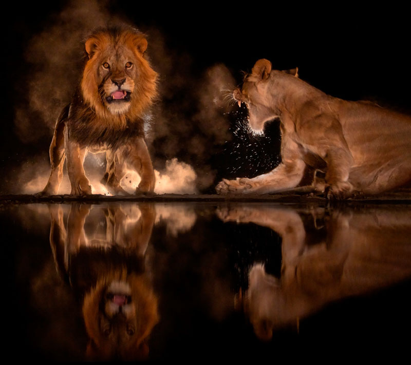 Beasts in natural world 5