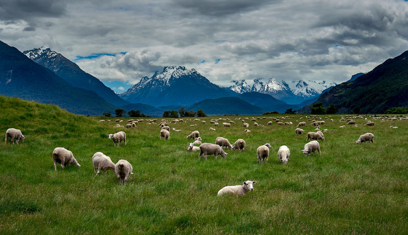 Mt aspiring range