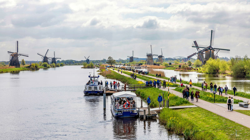 Les moulins de rotterdam