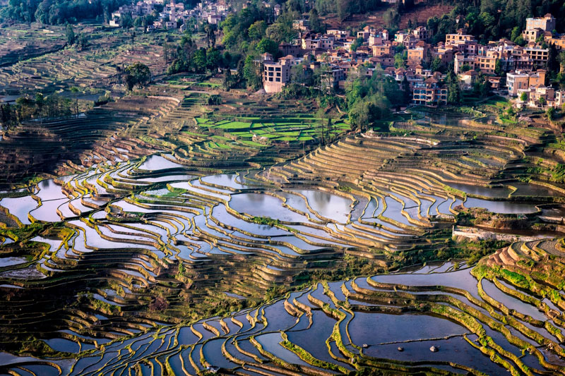 Rizières de yuanyan