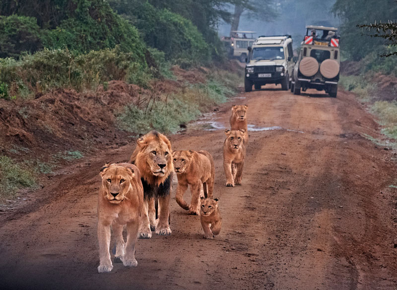 This is our territory 7