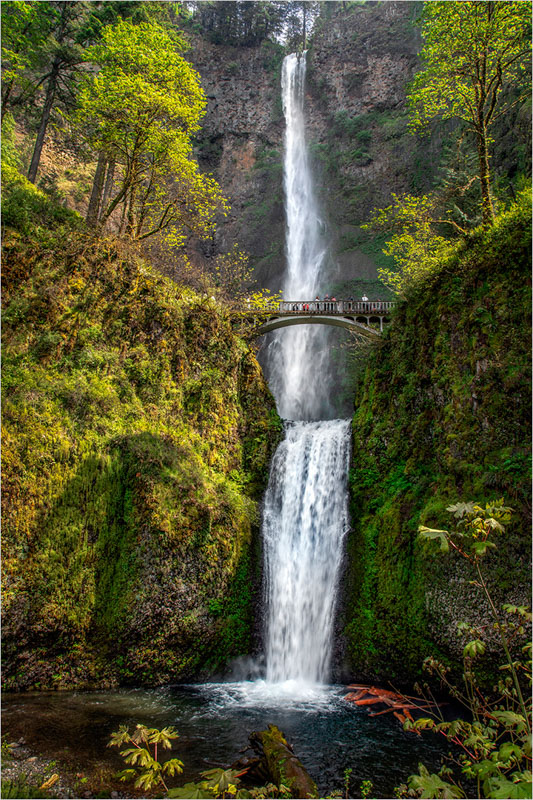 Multnomah falls