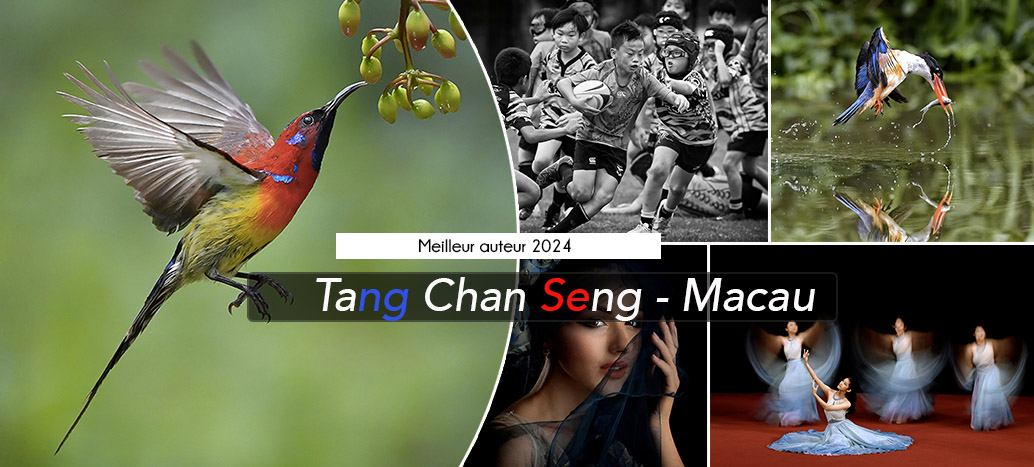 Vainqueur 2024 : Tang Chan Seng
