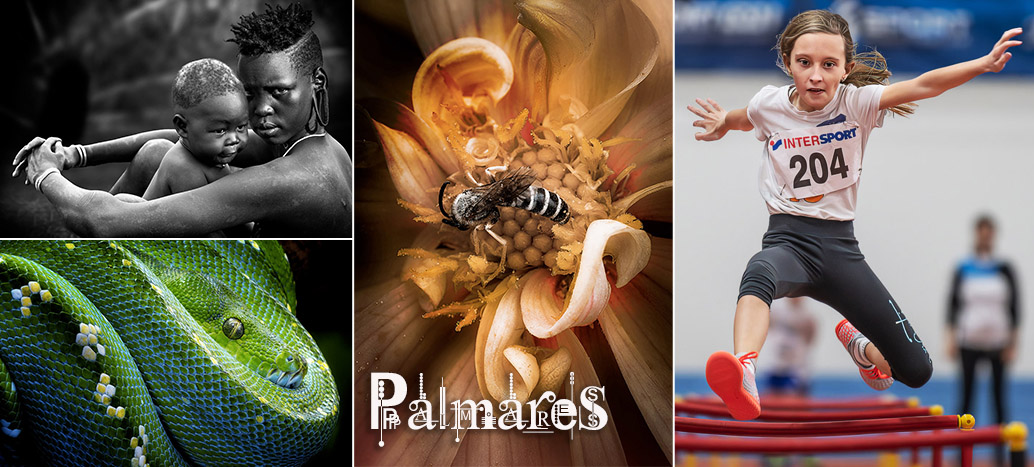 Le palmares 2024, salon par salon