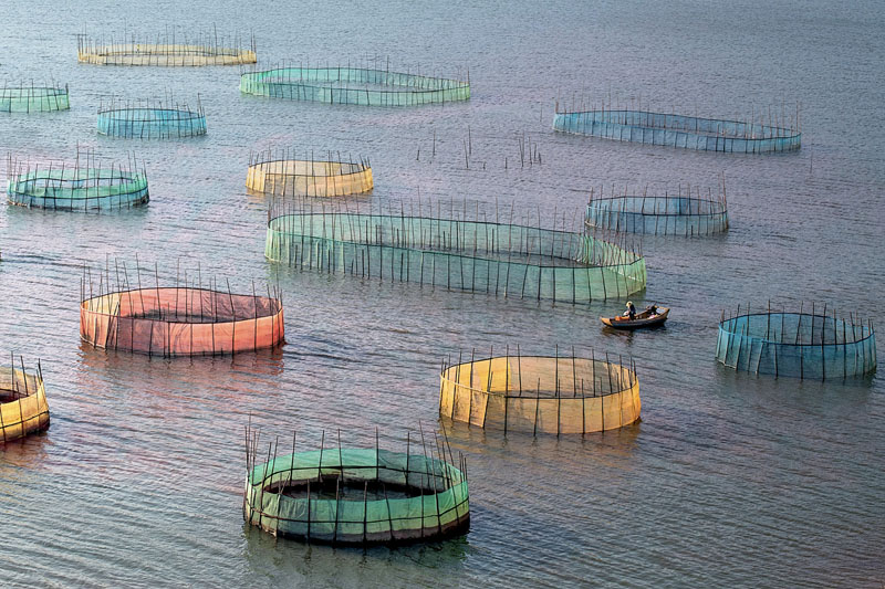 Crab traps of xiapu 3