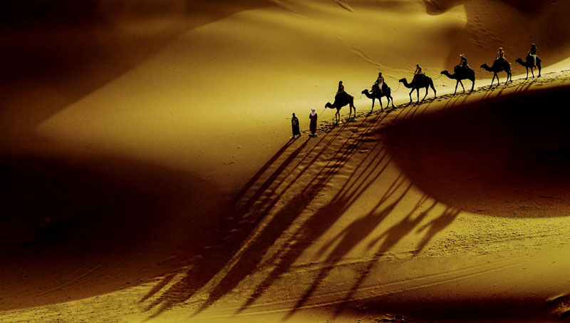 Camel bells in the desert