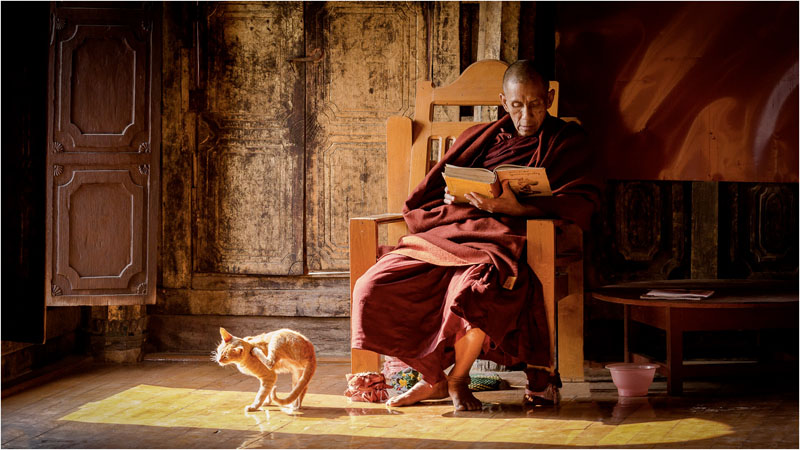 Le moine et le chat