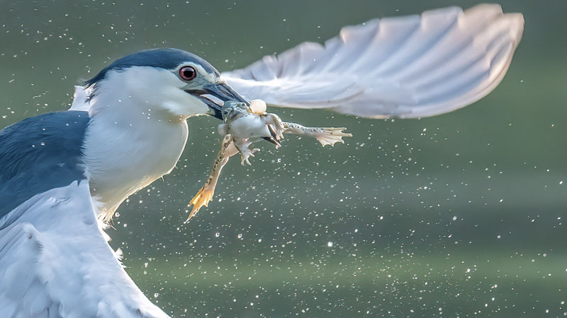 Life hang in the balance