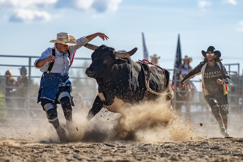 Peter chi ho lau_bull attacks the w