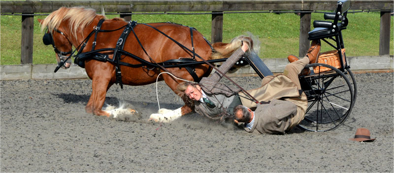 Carriage accident